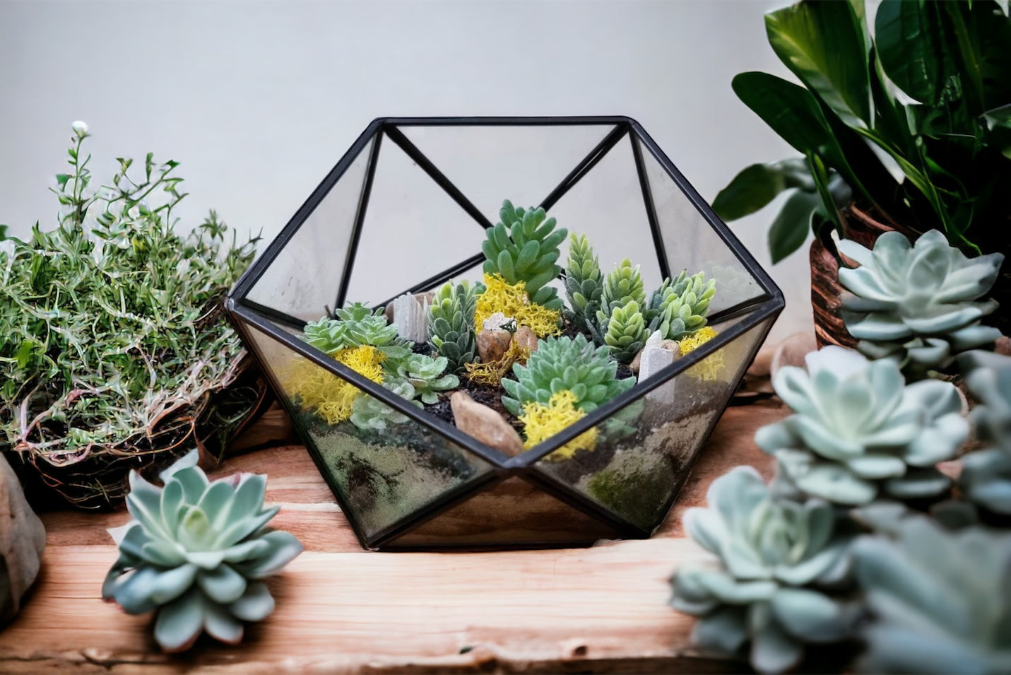 DIY Luxury Geometric Metal & Glass Terrarium Kit With Plants & Accessories - Perfect Gift To Create Your Own Mini Garden