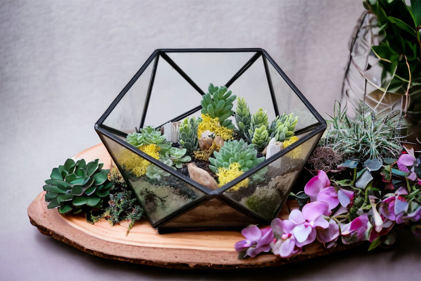 DIY luxury geometric metal and glass terrarium kit with plants and accessories - perfect gift to create your own mini garden