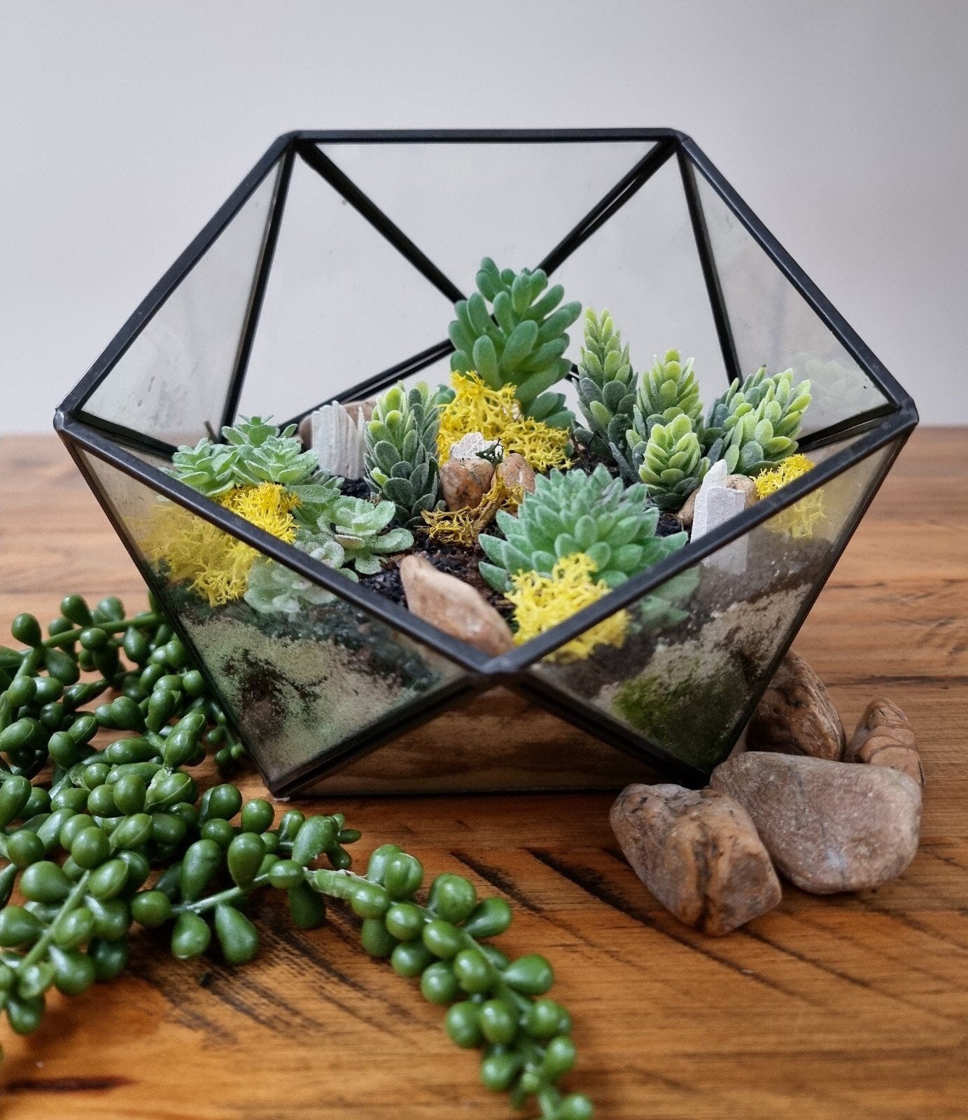 DIY luxury geometric metal and glass terrarium kit with plants and accessories - perfect gift to create your own mini garden