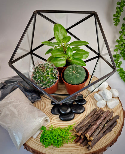 DIY luxury geometric metal and glass terrarium kit with plants and accessories - perfect gift to create your own mini garden