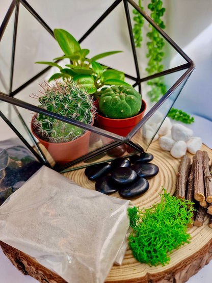 DIY luxury geometric metal and glass terrarium kit with plants and accessories - perfect gift to create your own mini garden